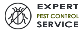 Expert Exterminator Co Everett WA